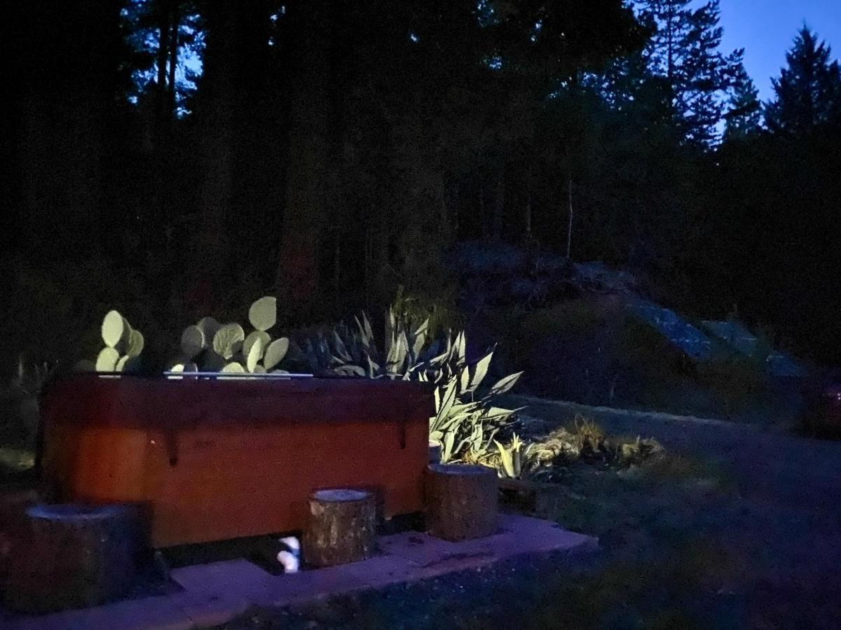 فندق Glamping In The Redwoods With A Hot Tub! غاربرفيل المظهر الخارجي الصورة