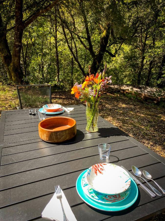 فندق Glamping In The Redwoods With A Hot Tub! غاربرفيل المظهر الخارجي الصورة