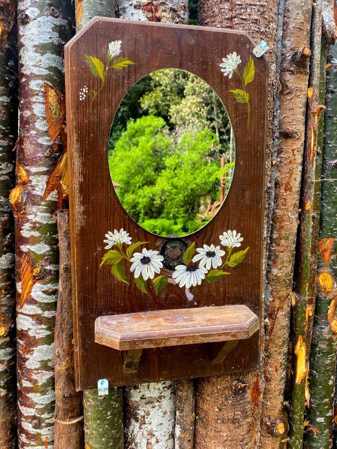 فندق Glamping In The Redwoods With A Hot Tub! غاربرفيل المظهر الخارجي الصورة